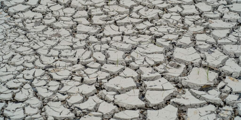 estiagem:-quinze-cidades-tem-situacao-de-emergencia-decretada