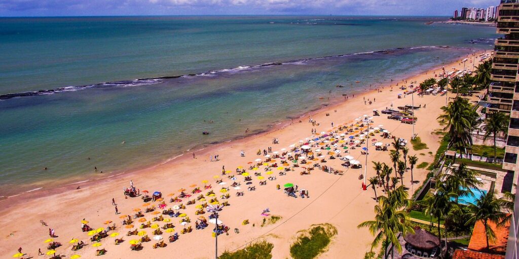 pernambuco-volta-a-monitorar-tubaroes-na-orla-apos-10-anos