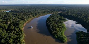 reino-unido-se-torna-o-segundo-maior-doador-do-fundo-amazonia