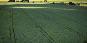 senado-aprova-plano-para-fabricacao-de-fertilizantes-no-brasil