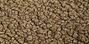 el nino:-entenda-o-fenomeno-que-intensifica-os-fenomenos-climaticos