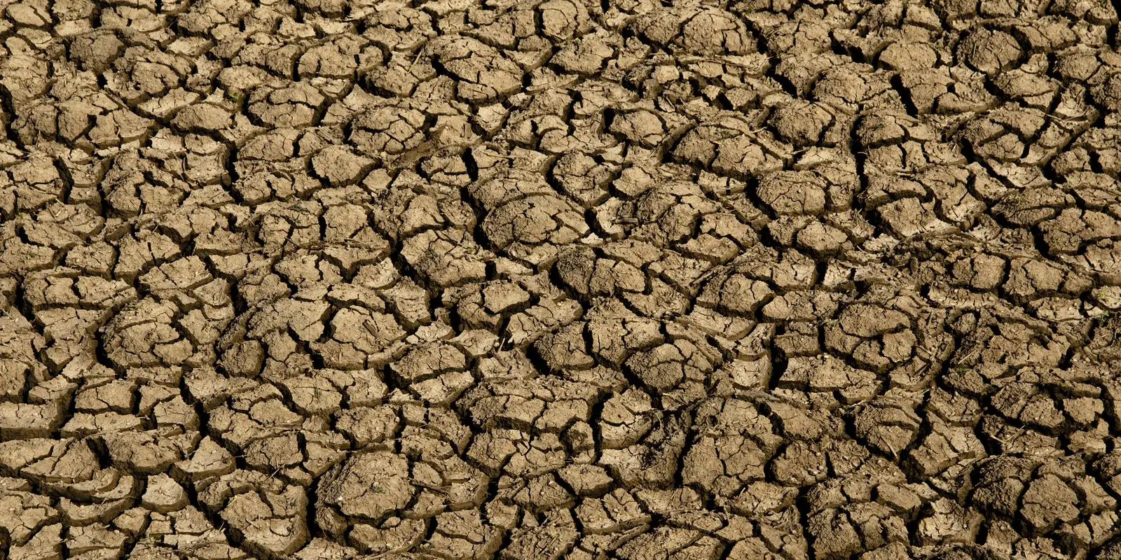 el nino:-entenda-o-fenomeno-que-intensifica-os-fenomenos-climaticos