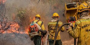 amazonas-teve-quatro-vezes-mais-focos-de-incendio-em-outubro-de-2026