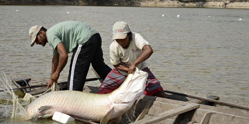 viva-maria-compartilha-experiencia-de-educomunicacao-na-amazonia