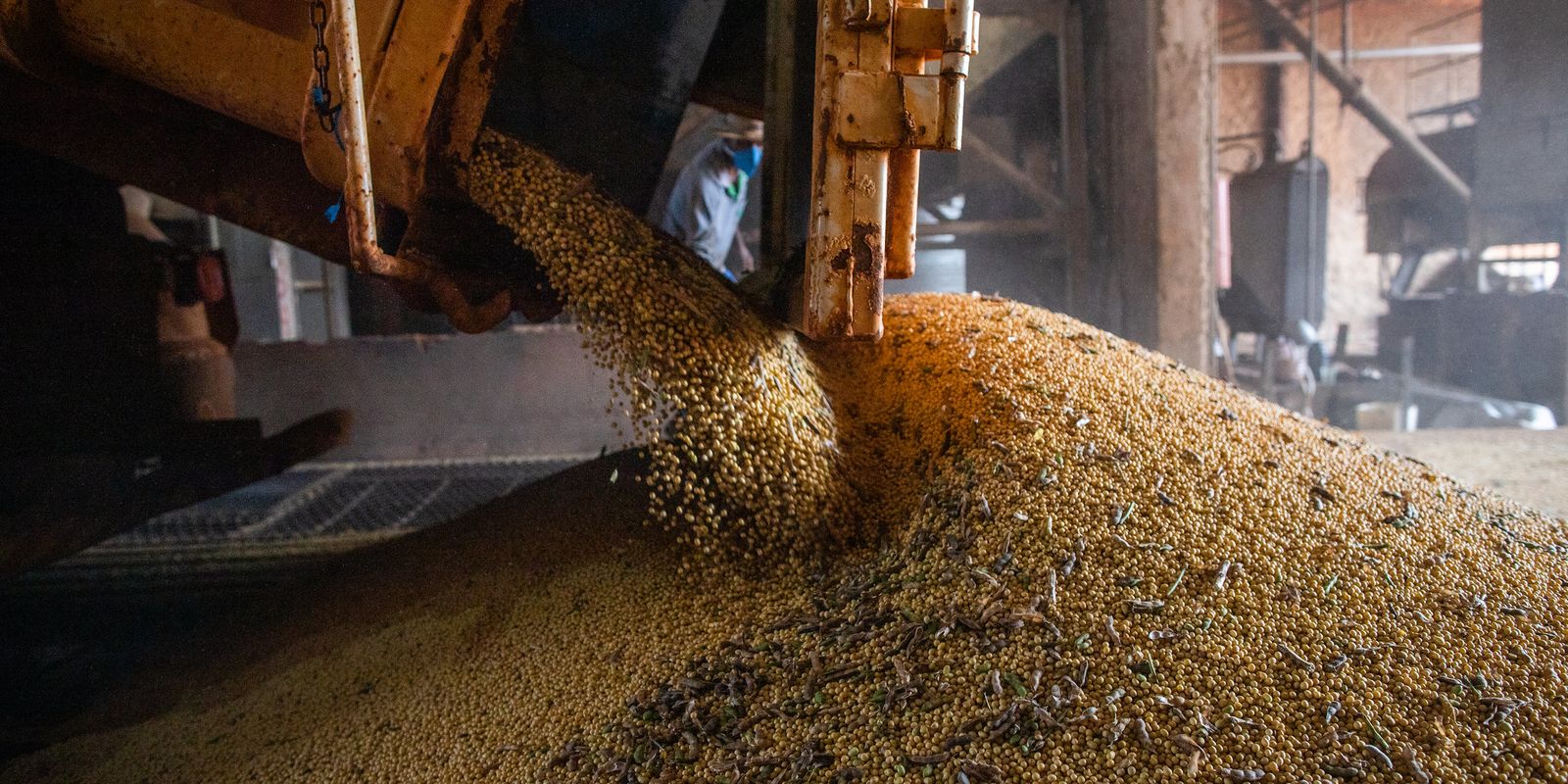 producao-brasileira-de-graos-deve-aumentar-apesar-do-el-nino