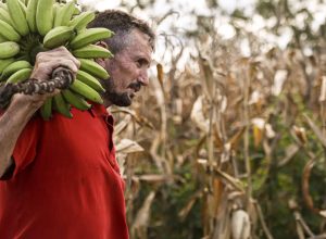 camara-aprova-uso-de-recursos-do-fgo-em-operacoes-do-pronaf