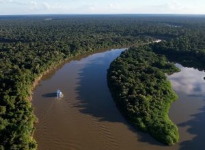 fundo-amazonia-vai-liberar-r$-53-milhoes-para-regularizar-terras-no-ma
