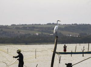 sexto-lote-do-seguro-defeso-sera-disponibilizado-na-terca-feira