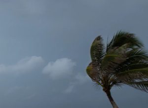 chuvas-atingem-norte,-nordeste-e-litorais-de-sul-e-sudeste-esta-semana