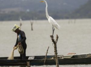 mudancas-aprovadas-para-o-seguro-defeso-previnem-fraudes,-diz-relator
