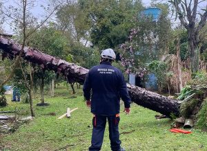 rio-grande-do-sul:-chuvas-deixam-720-desabrigados-em-eldorado-do-sul