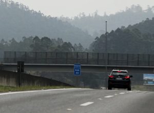tempo-seco-intensifica-risco-de-queimadas-no-interior-paulista