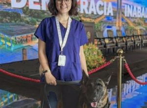 morre-veterinaria-atacada-por-cachorro-no-canil-do-senado-federal
