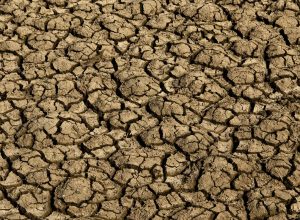 el nino:-entenda-o-fenomeno-que-intensifica-os-fenomenos-climaticos