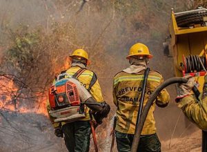 queimadas-levam-36-cidades-do-am-a-reconhecer-situacao-de-emergencia