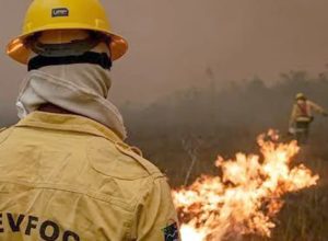 governo-faz-forca-tarefa-e-envia-11-aeronaves-para-combater-fogo-no-am