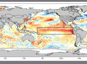 el-nino-em-alta:-pacifico-registra-2a-maior-temperatura-da-historia