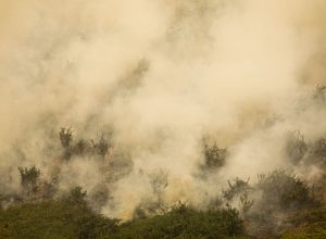 mg:-principal-foco-de-incendio-em-terra-indigena-maxakali-e-controlado