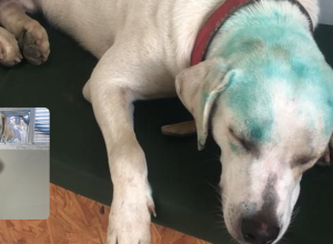 Sem-nome-1000-x-500-px-1-2048x1024