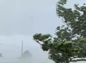 Ventos-fortes-destroem-pomares-de-maca-em-Sao-Joaquim