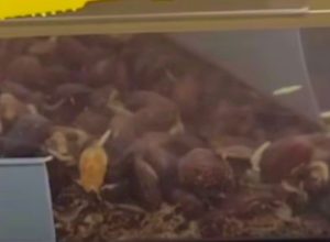 WhatsApp-Image-2026-03-26-at-09.35.04-e1774530524923