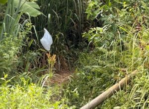 WhatsApp-Image-2026-03-31-at-15.40.40