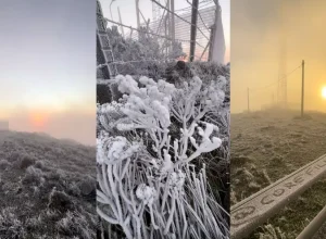 congelou-tudo-massa-polar-sc-menos-3-graus-urupema-composto