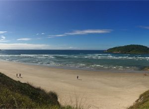 destaque-G.v1772681766