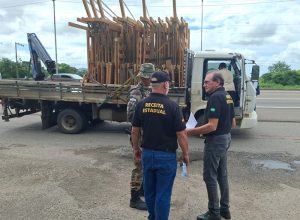 destaque-G.v1773370056